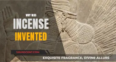 Incense: Ancient Aromas and Their Purposes