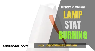 Troubleshooting a Fragrance Lamp That Won't Stay Lit