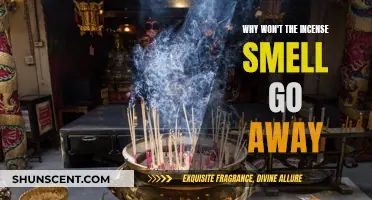 Persistent Incense Fragrance: How to Make it Go Away?