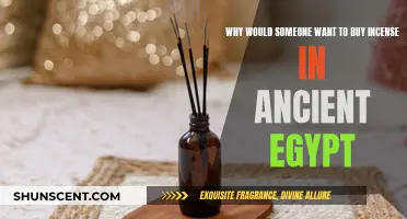 Incense in Ancient Egypt: Sacred Scents and Offerings