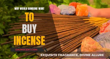 Incense: Enhancing Your Space and Mind