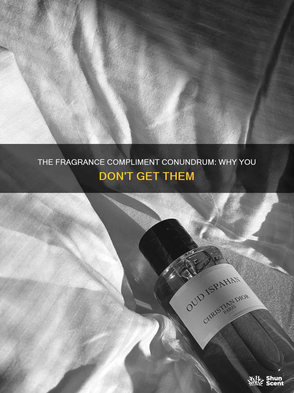 why you don