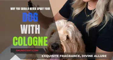 Colognes are Harmful to Dogs: Avoid Spraying Your Pet