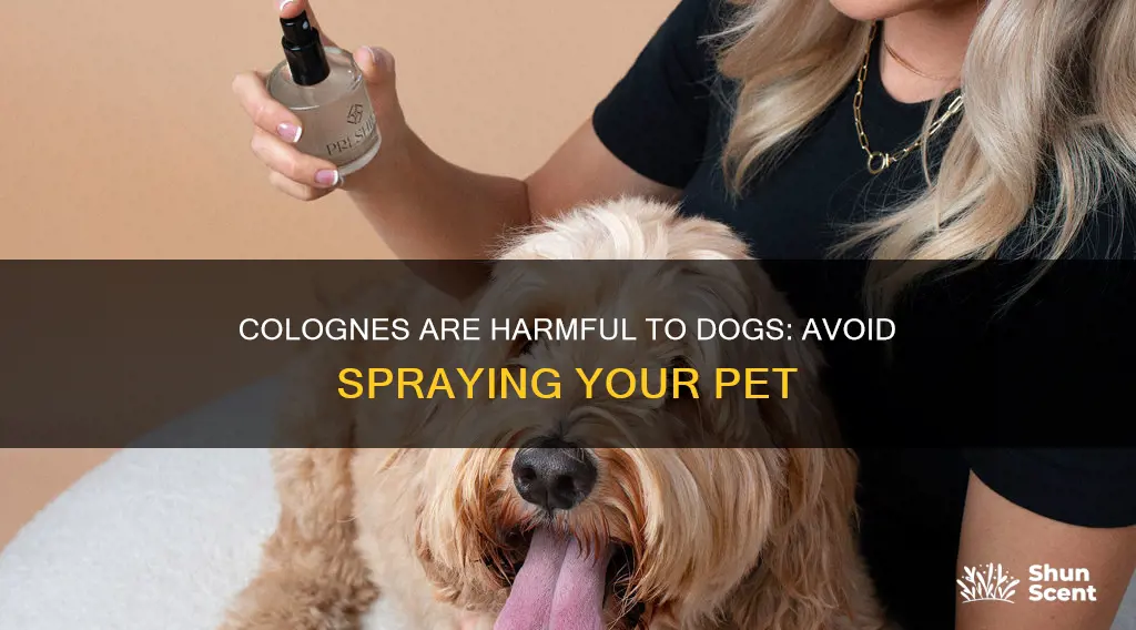 why you should never spray your dog with cologne