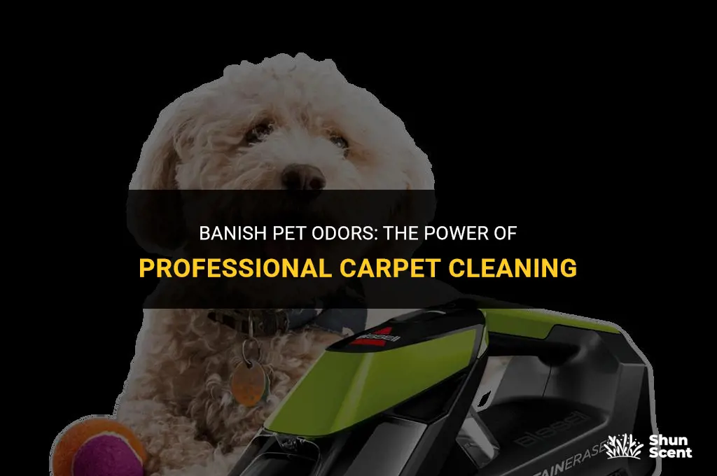 will a carpet cleaner get rid of pet odors