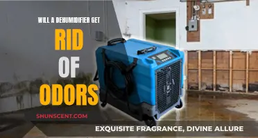 Banish Musty Smells: The Dehumidifier's Odor-Fighting Secrets