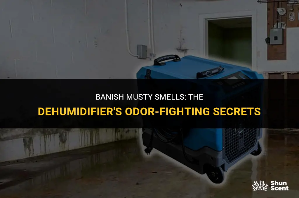 will a dehumidifier get rid of odors