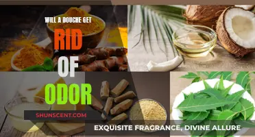 Freshness Guaranteed: Say Goodbye to Odor with These Simple Tips