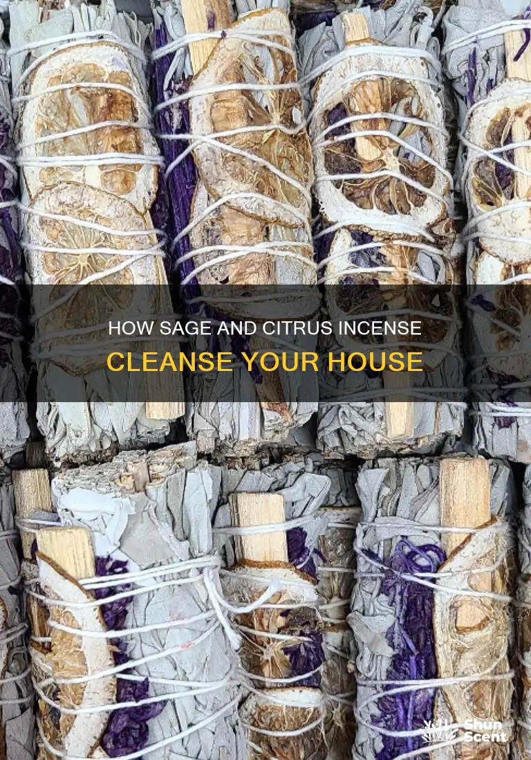 will a sage and citrus incense cleanse house
