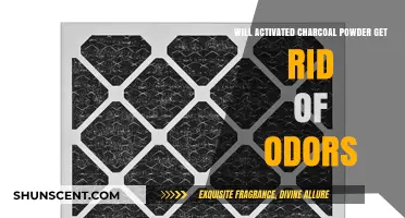 Unveiling the Truth: Can Activated Charcoal Powder Eliminate Odors?