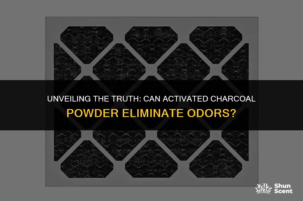 will activated charcoal powder get rid of odors