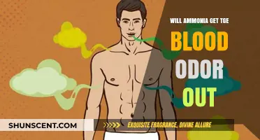 Eliminating Blood Odor: The Ammonia Solution Explained