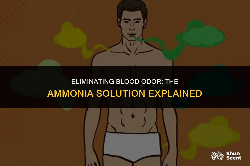 will ammonia get tge blood odor out