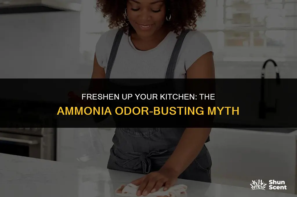 will ammonia in a dish get rid of odors