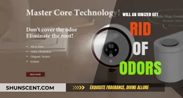 Fresh Air Ahead: Can an Ionizer Really Eliminate Odors?