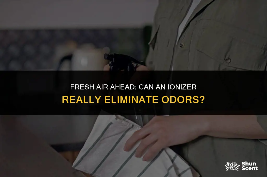 will an ionizer get rid of odors