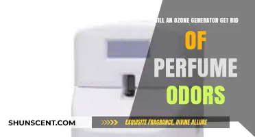 Can Ozone Generators Eliminate Perfume Odors? A Comprehensive Guide