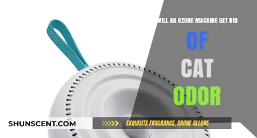 Eliminating Cat Odor: The Power of Ozone Machines Revealed