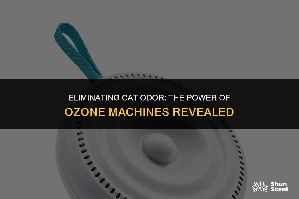 will an ozone machine get rid of cat odor