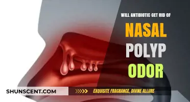 Can Antibiotics Eliminate Nasal Polyp Odor? Exploring the Facts