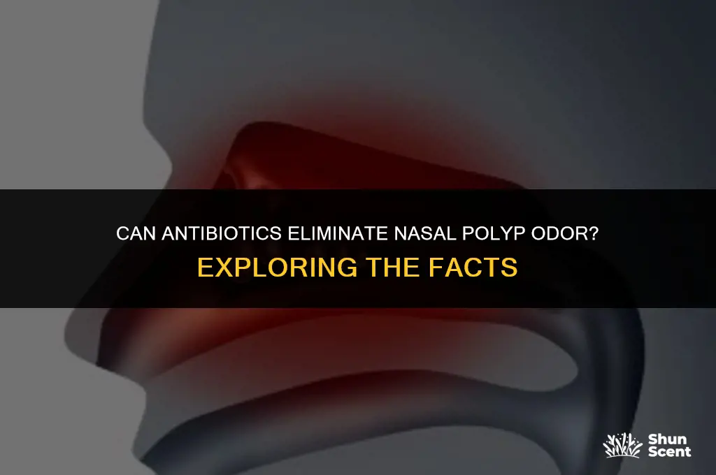 will antibiotic get rid of nasal polyp odor