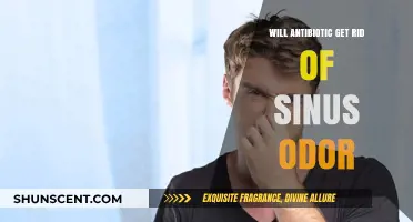 Combatting Sinus Odor: The Role of Antibiotics in Treatment