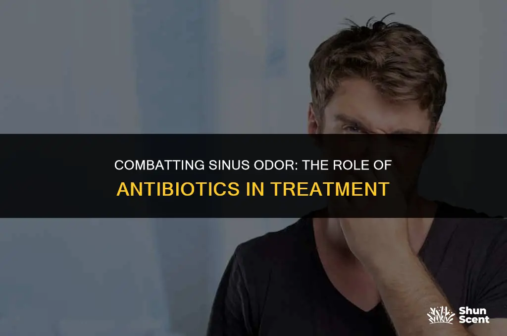 will antibiotic get rid of sinus odor
