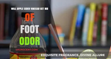 Natural Remedies: Can Apple Cider Vinegar Eliminate Foot Odor?