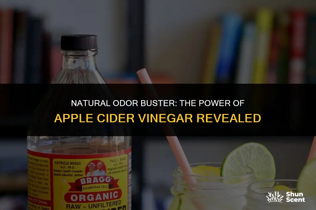 will apple cider vinegar get rid of odors