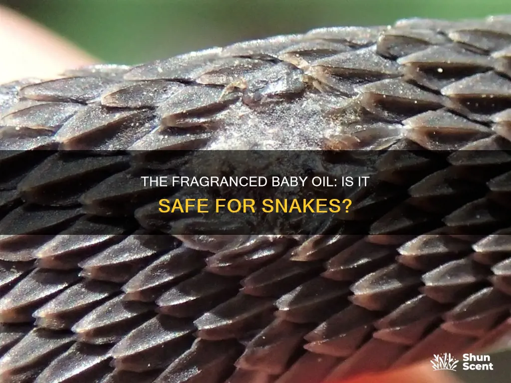 will baby oil with fragrance hurt a snake