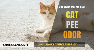 Eliminating Cat Pee Odor: The Baking Soda Solution