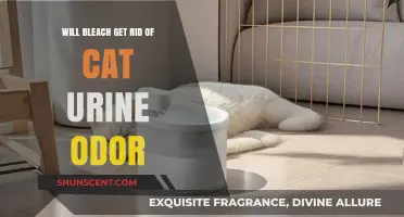 Eliminating Cat Urine Odor: Does Bleach Really Work?