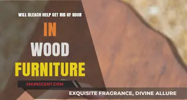 Eliminating Odors in Wood Furniture: Does Bleach Really Work?