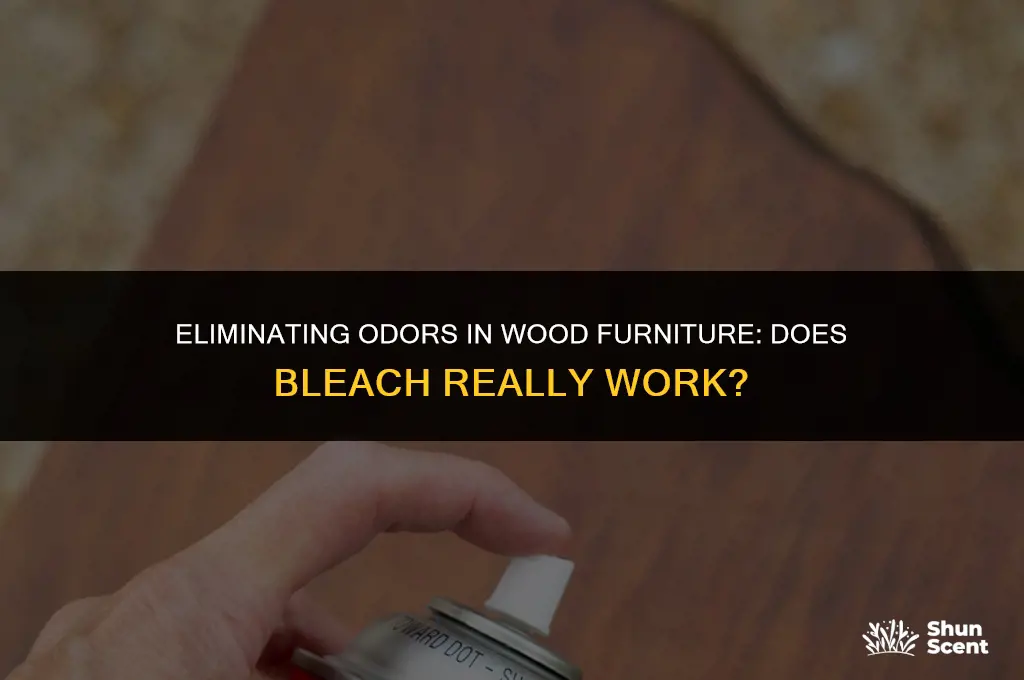 will bleach help get rid of odor in wood furniture