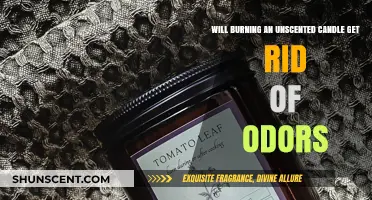 Banishing Odors: The Truth About Using Unscented Candles