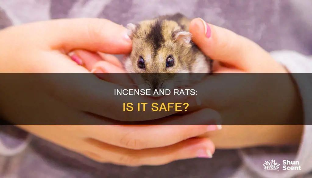 will burning incense harm rats