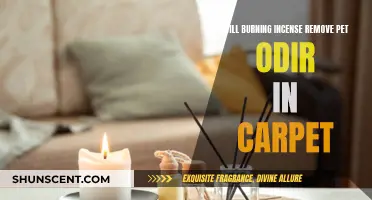 Incense and Pet Odors: A Fresh-Smelling Home