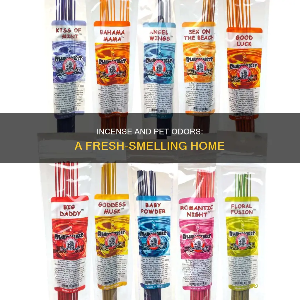 will burning incense remove pet odir in carpet