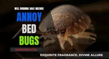 Sage Incense: Bed Bug Repellent or Irritant?