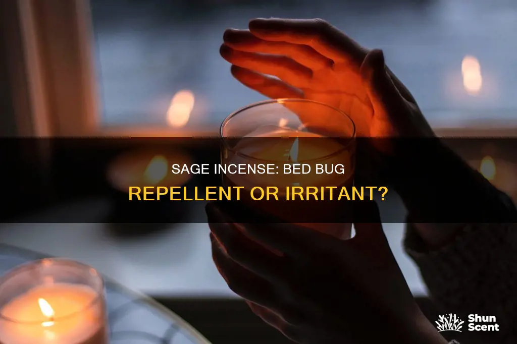 will burning sage incense annoy bed bugs