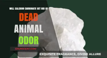 Natural Odor Buster: Can Calcium Carbonate Eliminate Dead Animal Smell?