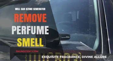 Ozone Generator: Effective Solution for Removing Perfume Odor from Car