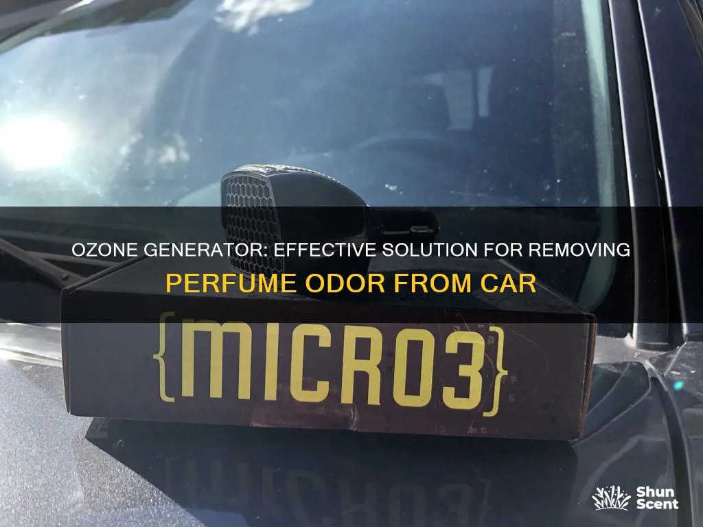 will car ozone generator remove perfume smell