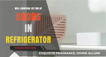 Activated Charcoal: A Natural Solution to Refrigerator Odors