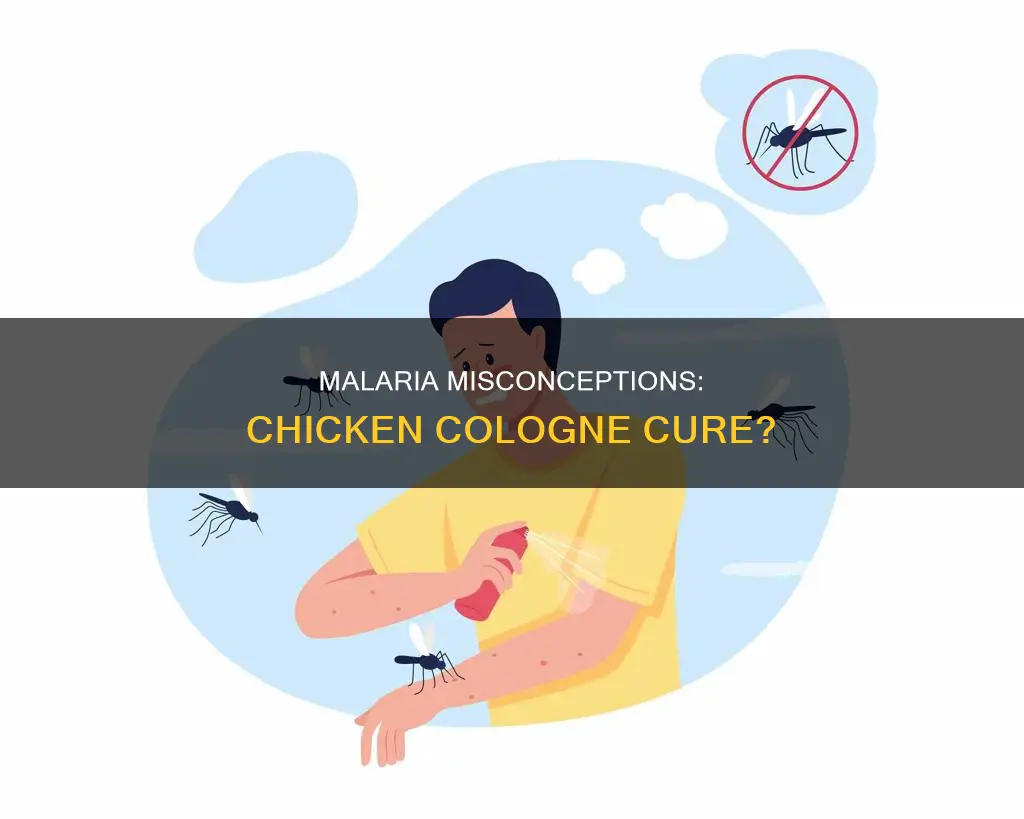 will chicken cologne guard you from malaria answer key commonlit