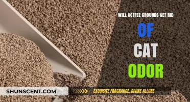Fresh Grounds, Fresh Start: Combatting Cat Odor with Coffee
