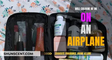 Can You Bring Cologne on a Plane?