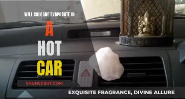 Colognes in Hot Cars: Evaporation and Its Effects