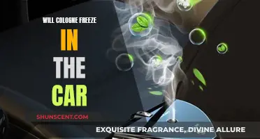 Winter Car Storage: Will My Cologne Freeze Solid?