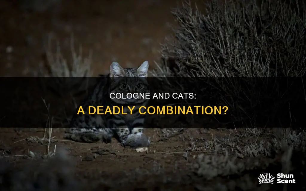 will cologne kill a cat